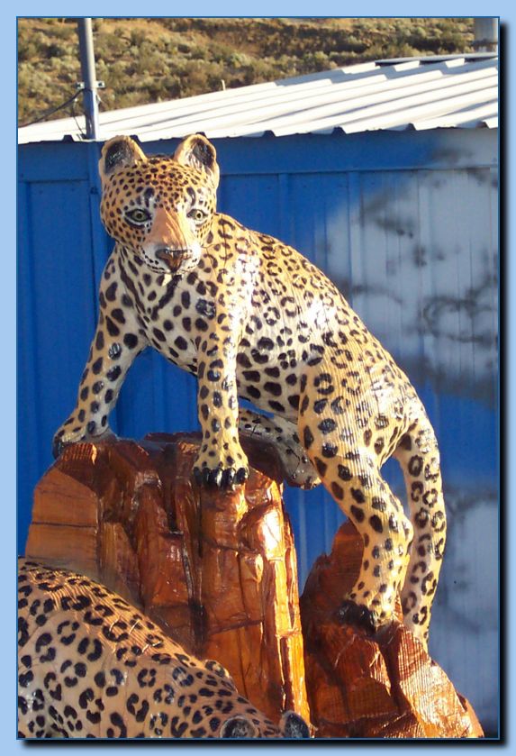 1-30 leopards